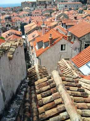 Roofs-New&old-051005-1139a