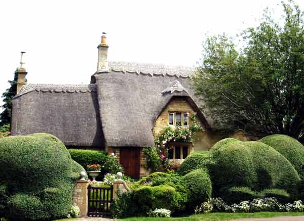 thatchedRoof-house